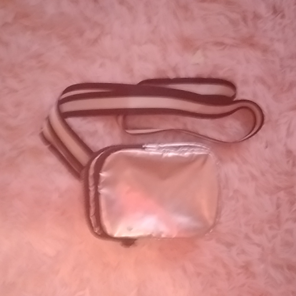 Little silver bag